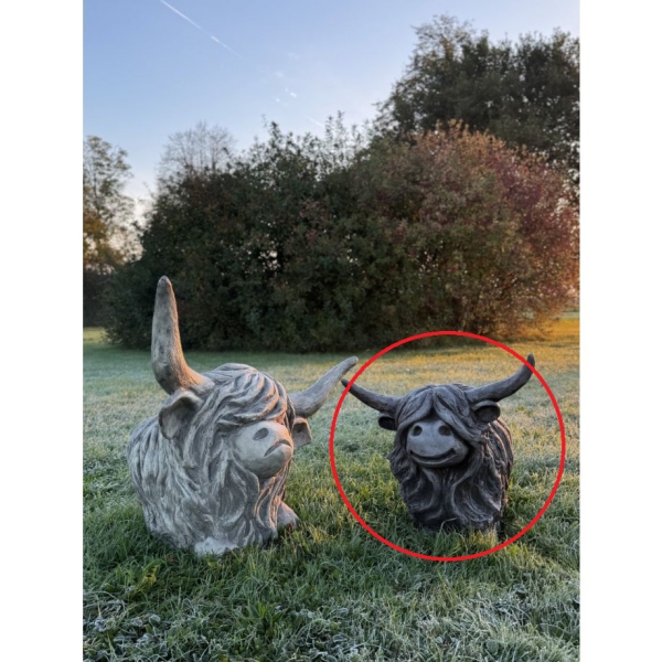 Westhighland Rind Aria